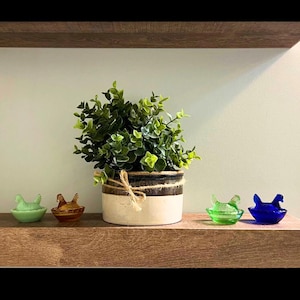 K&ouml;nnte beinhalten: Vier gl&auml;serne Butterdosen in H&uuml;hnerform auf einem Holzregal. Die Dosen sind gr&uuml;n, braun, blau und gr&uuml;n. Im Hintergrund steht eine Topfpflanze mit gr&uuml;nen Bl&auml;ttern.