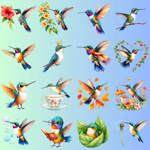 16 Frühlings Kolibri Clipart | Natur inspirierter Vogel | Bunte Illustrationen für Kunsthandwerk, Scrapbooking, Einladungen, Sublimationsdesigns