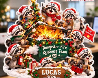 Custom Dumpster Fire Response Team 3D Ornament 2026, Funny Raccoons Dumpster Fire Ornament, Office Humor Employee Worker Gift, Team Gift