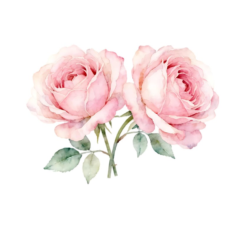 Watercolor Pink Roses Clipart Set | Romantic Flower Bouquets ...