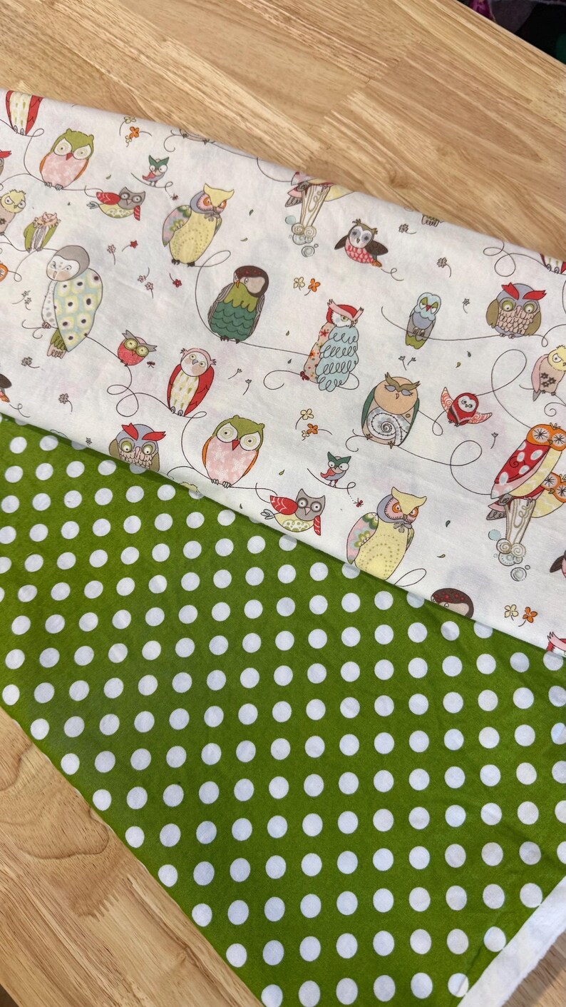 Owl Semi Gathered Skirt, Custom Made, It’s a Hoot, Last One image 4