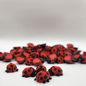 May include: A group of red and black ladybug-shaped buttons. The buttons are scattered on a white surface.