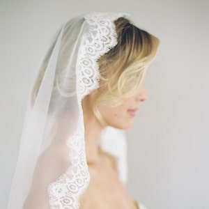 May include: A white bridal veil with a delicate lace trim. The veil is sheer and falls to the shoulders.