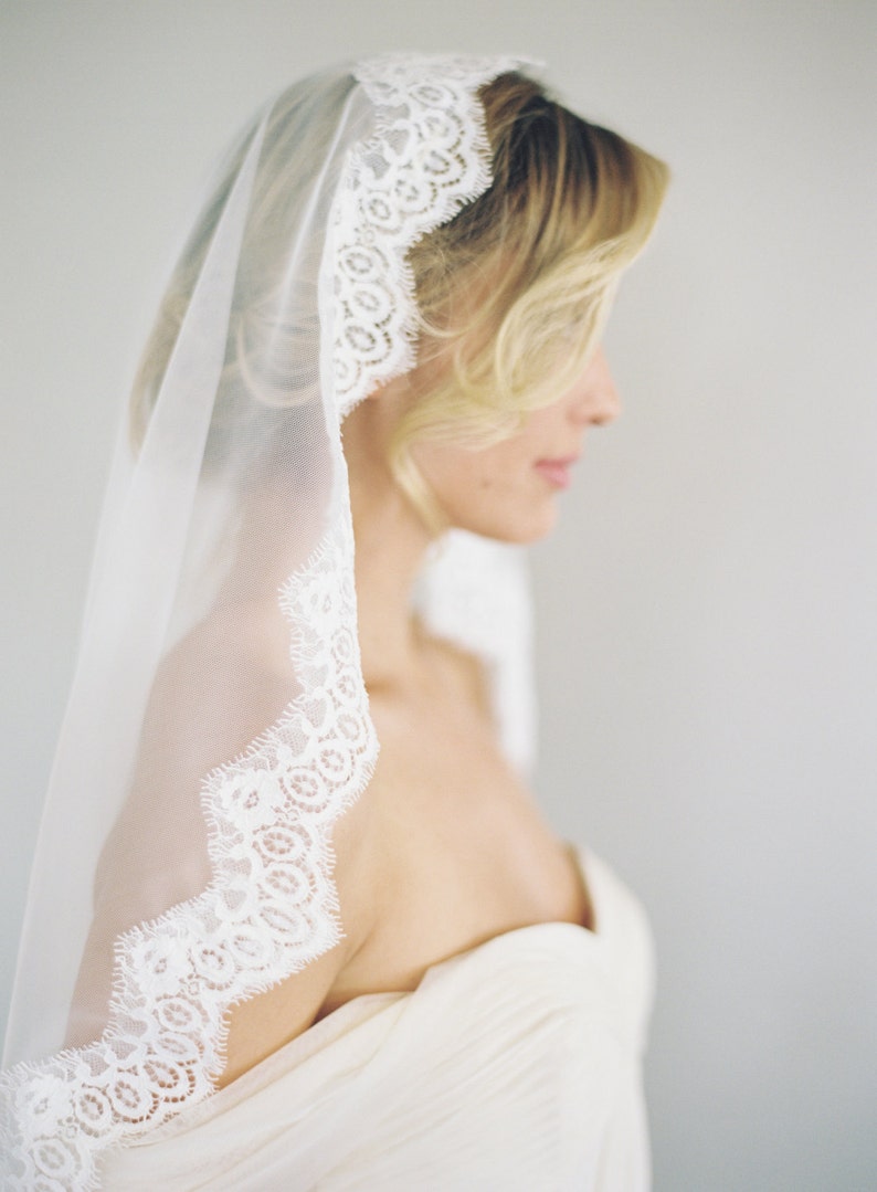 May include: A white bridal veil with a delicate lace trim. The veil is sheer and falls to the shoulders.
