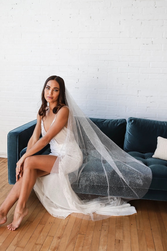 White silver dusty sparkles veil Angel Dust Tulle Sparkle Veil Cathedral Wedding Veil main image 2