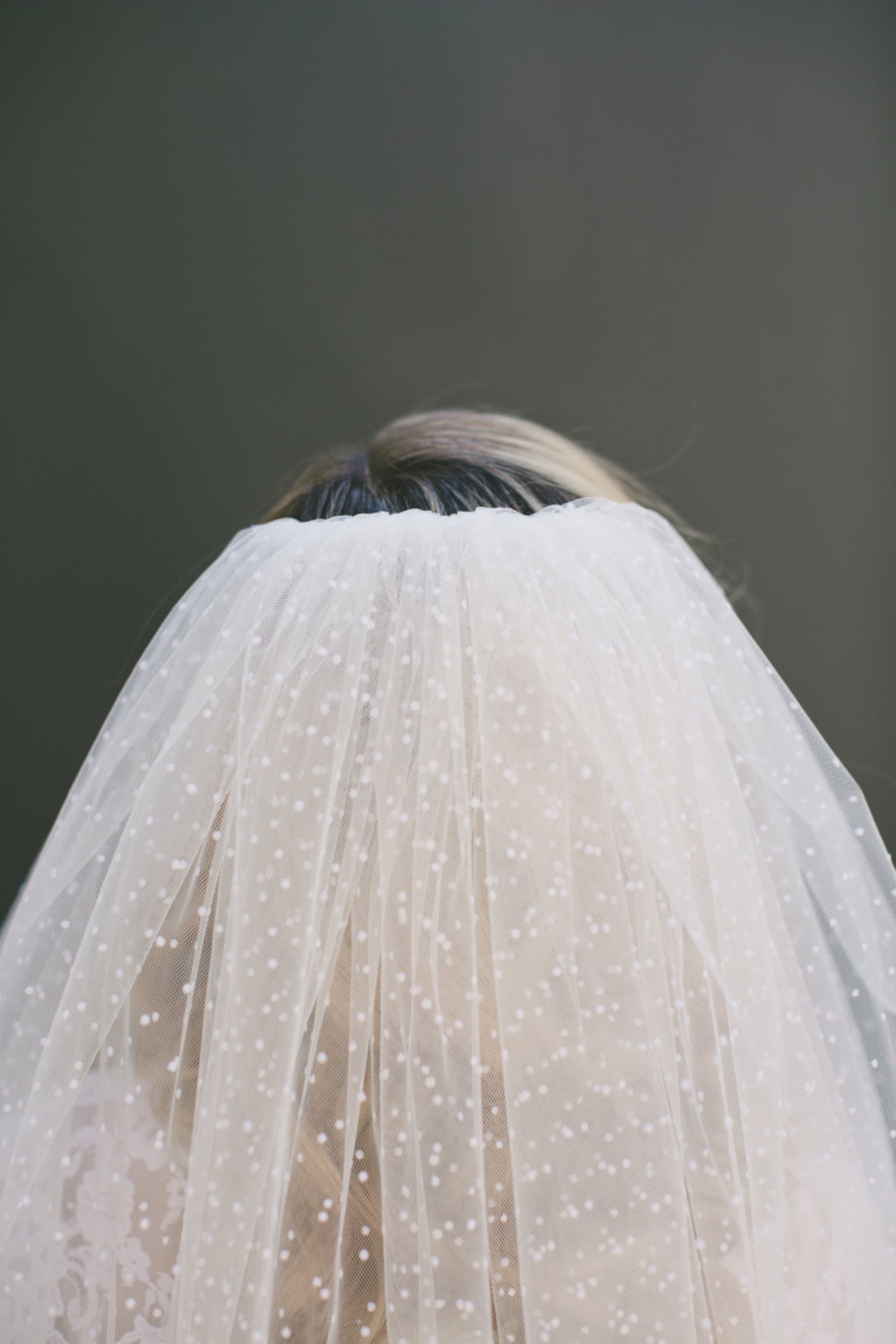 Polka Dot Veil Swiss Dot Veil Dotted Veil Raw Edge Veil Etsy