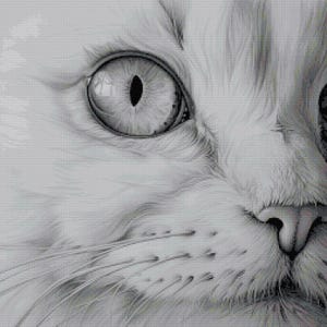 May include: A detailed black and white charcoal drawing of a cat face, focusing on the left eye with a vertical pupil, fine fur texture, whiskers, and a small nose. The artwork captures the feline features with high contrast shading and lines.