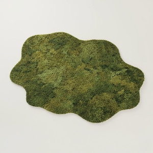 May include: A green, cloud-shaped rug with a textured surface. The rug features varying shades of green, creating a natural, moss-like appearance. The rug's irregular shape adds a unique, organic element to any space.