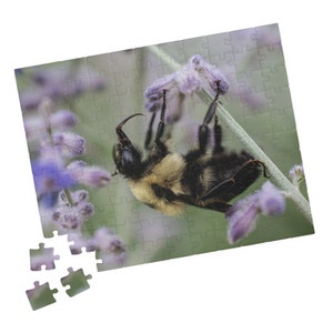 May include: A completed jigsaw puzzle featuring a close-up of a bumblebee clinging to a lavender flower. The bee is black and yellow, with a fuzzy body. The puzzle is mostly assembled, with a few pieces separate.