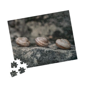Cottage Core Jigsaw Puzzle Snail Shells Macro Photo (110, 252, 520, 1014-piece), Downtime Classroom Game Night Activity, Gift for him or her