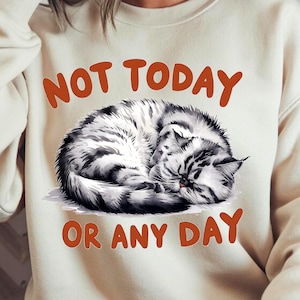Sarcastic png, funny png, sarcastic clipart, sublimation designs, sarcastic png, sarcastic png, bundle, sarcastic quotes, adult humor png