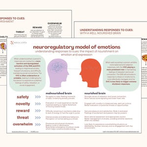 Op de afbeelding: Een diagram dat de effecten van een goed gevoed brein vergelijkt met een ondervoed brein op emotionele reacties op aanwijzingen. Het diagram toont twee hersenen, een roze en een rode, met pijlen die wijzen naar de verschillende reacties op veiligheid, nieuwigheid, beloning, bedreiging en overweldiging. De tekst "Neuroregulerend model van emoties" staat bovenaan het diagram.