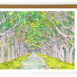 Savannah Georgia Card | Wormsloe Plantation Souvenir, Oak Trees Card, Historic Georgia