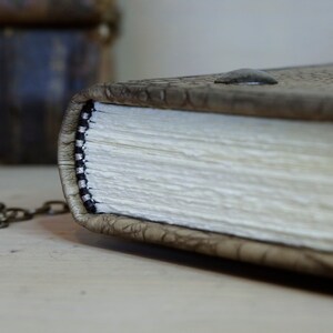 Journal with Lock and Key, Antique Crocodile Textured Leather The Collector image 5