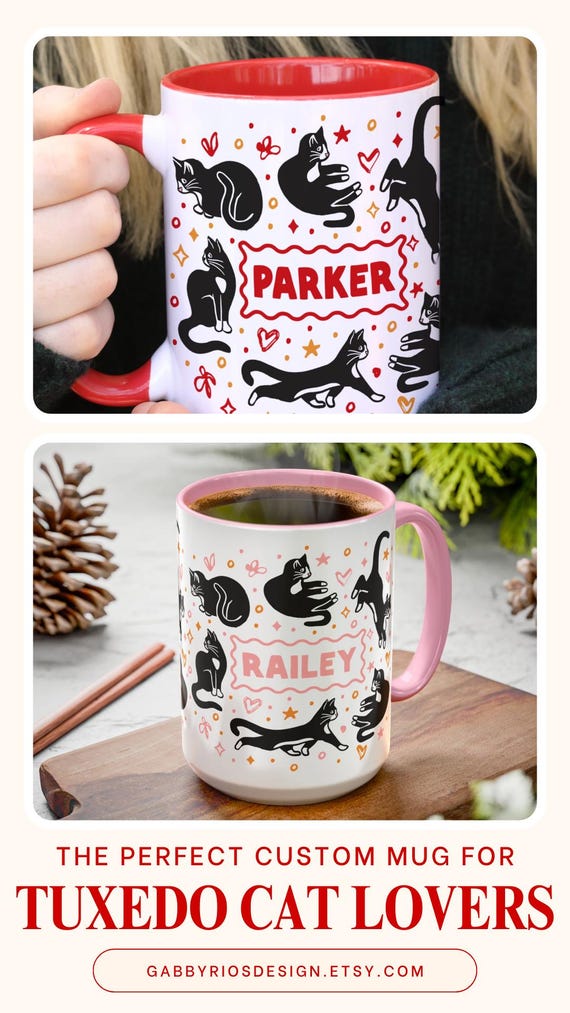 Glass Cup With Lid And Straw Fetch This Cat Funny Glass Cups - 16Oz Iced Coffee  Cups With Lids & Straws, Cat Lover Gifts Cat Lover Mug