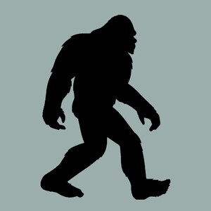 Sasquatch