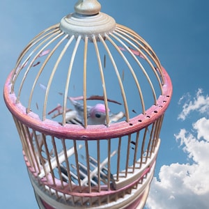 Vintage Wind Up Bird in Bamboo Cage Moves and Chirps Automaton Door Can Open