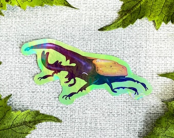 May include: A holographic sticker of a colorful beetle with iridescent green, blue, and yellow accents. The beetle is in a flying pose with its legs outstretched.