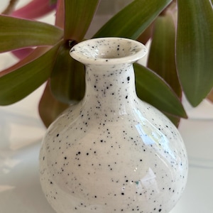 Hand thrown vase
