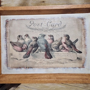 Bandeja de madeira de teca vintage reciclada - Design com cartão postal, pássaros em uma linha - Alças de metal escuro - Muito fofo, ótima peça de decoração Country ou francesa