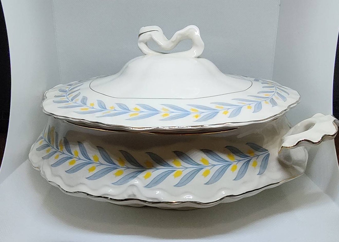 Antique Serving Bowl With Lid, Handles W.S. Company, OH Radisson