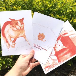 Meme Cat Mini Prints