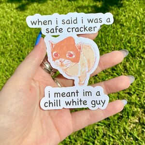 Pegatina mate de gato Safe Cracker