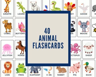 Animal Flashcards, ESL, Cambridge Starters, Classroom Materials