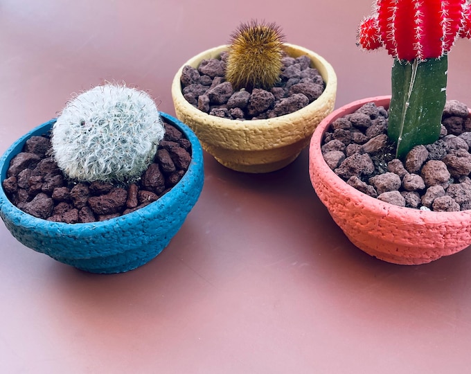 planters | pots | solid color