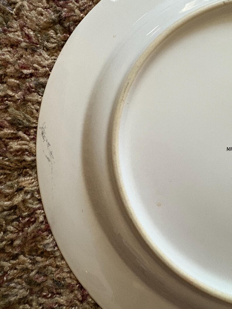 May include: A white ceramic plate with a slightly raised rim. The plate has a subtle, off-white border and a smooth, glossy surface. The plate is partially visible, with a portion of the rim and the interior surface in view.