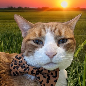 Animal cheetah tiger leopard print pet bowtie for dogs cats cotton elastic attachment over collar, dog cat lover, pet mom gift, accessory