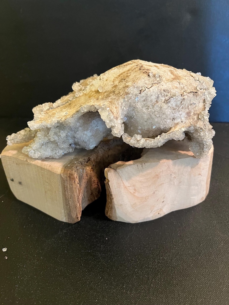 May include: A natural geode crystal formation with a rough, textured surface, resting on a light-coloured, carved wooden base. The crystal features a mix of beige and clear crystalline structures. The wooden base has a natural, unfinished appearance.