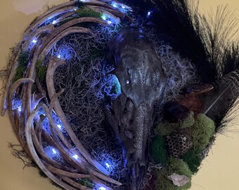 Ethically Sourced Doe Skull Nature Art*Bone Art*Lighted Wall Hanging*Oddities & Curiosities*