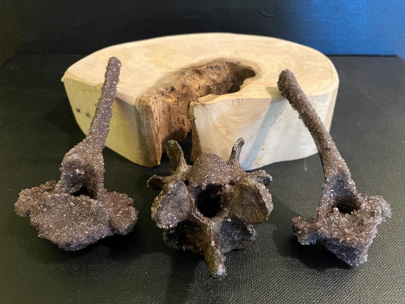 May include: Three dark purple amethyst crystal clusters, with a sparkling, textured surface, displayed on a wooden slab. The crystals are set against a dark background. The wooden slab has a natural edge.