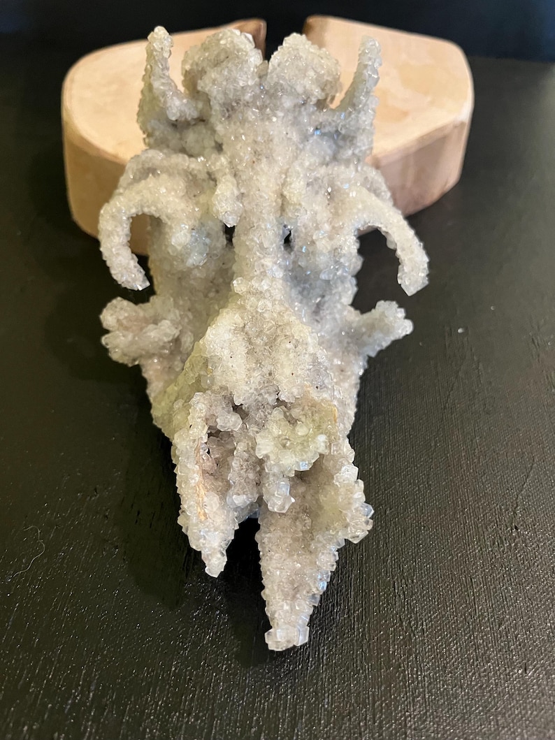May include: A light grey, crystalline mineral specimen with a textured surface. The mineral has a unique, organic shape with multiple protrusions and a rough, bumpy texture. The specimen is displayed on a wooden base against a dark background.