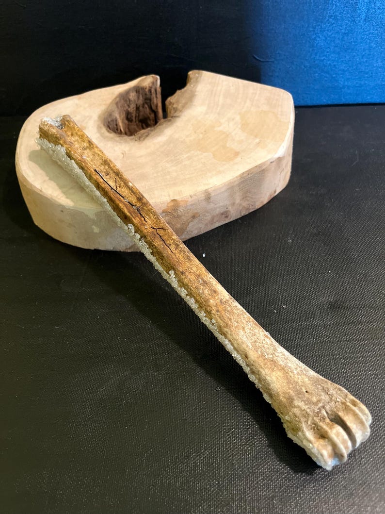 May include: A weathered, light brown bone with a textured surface and a crystalline coating along one edge. The bone is lying on a light-coloured, irregularly shaped wooden block with a carved-out section. The background is dark.