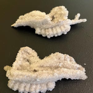 May include: Two light grey, crystallised mineral formations. The formations have a textured, bumpy surface and an irregular shape, resembling a cluster of small crystals. The background is a dark, solid colour.