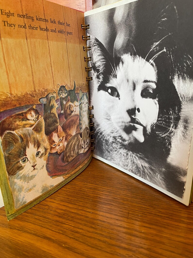 Little Golden Book Journal - the Animals' Christmas Eve - Etsy