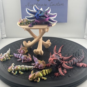 Niedliche Gliederdrachen