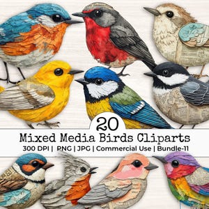 May include: A collection of 20 mixed media bird cliparts in various colors, including blue, orange, yellow, and red. The birds are designed with a collage effect, and the image includes the text "Mixed Media Birds Cliparts".