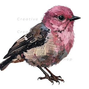 Mixed Media Junk Journal Fussy Cut Birds Clipart – Distressed Watercolor Vintage Ephemera Collage Printable Scrapbook Supplies | Set 4 image 14