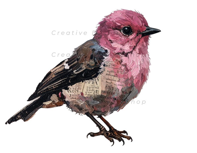 Mixed Media Junk Journal Fussy Cut Birds Clipart – Distressed Watercolor Vintage Ephemera Collage Printable Scrapbook Supplies | Set 4 image 14