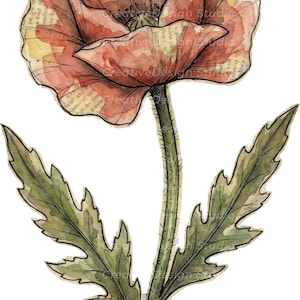 Mixed Media Junk Journal Clipart kieskeurig snijbloemen – noodlijdende aquarel vintage collage bloemen afdrukbare plakboekbenodigdheden | Set 1: afbeelding 10