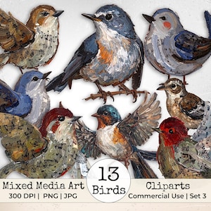 Pode incluir: Uma coleção de 13 cliparts de pássaros em arte mista. Os pássaros são pintados em várias cores, incluindo azul, marrom, vermelho e cinza. A imagem inclui o texto "Mixed Media Art", "13 Birds" e "Cliparts Commercial Use | Set 3."