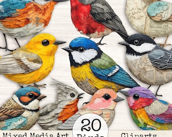 Mixed Media Junk Journal Fussy Cut Birds Clipart – Distressed Watercolor Colorful Ephemera Collage Printable Scrapbook Supplies | Set 11