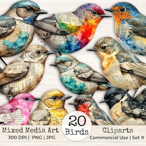 May include: A collection of bird illustrations featuring mixed media art with watercolor accents and vintage newspaper text overlays. The birds display various colors including blue, orange, pink, yellow, and grey, arranged in a collage format.
