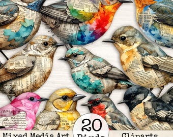 Mixed Media Fussy Cut Birds Clipart –Junk Journal  Distressed Watercolor Colorful Ephemera Collage Printable Scrapbook Supplies PNG | Set 9