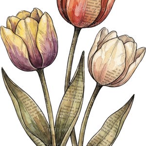 Op de afbeelding: Een aquarelillustratie van drie tulpen met bloemblaadjes en bladeren voorzien van een vintage krantenprint. De bloemen zijn gekleurd in tinten geel, oranje en cr&egrave;me, met donkere inktcontouren en zichtbare tekst op het bladwerk.