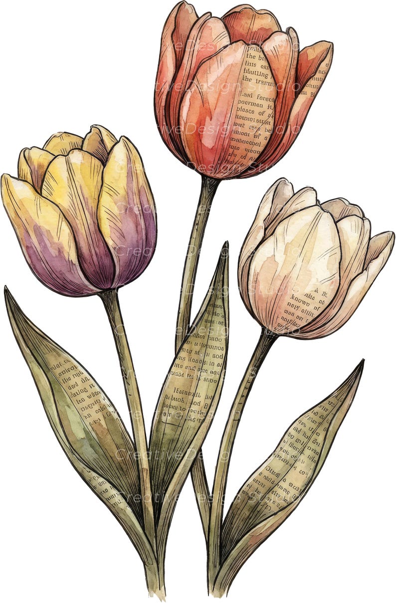 Op de afbeelding: Een aquarelillustratie van drie tulpen met bloemblaadjes en bladeren voorzien van een vintage krantenprint. De bloemen zijn gekleurd in tinten geel, oranje en cr&egrave;me, met donkere inktcontouren en zichtbare tekst op het bladwerk.