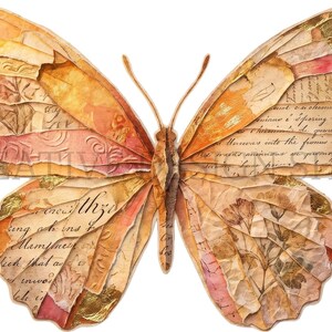 Puede incluir: Una pieza de arte mural con forma de mariposa hecha de collage de papel en capas en tonos naranja, rosa y dorado. Las alas presentan texto manuscrito antiguo, ilustraciones florales y elementos de papel texturizado con un cuerpo central marr&oacute;n.